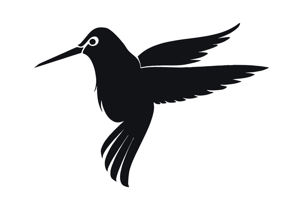 Hummingbird Vinyl Decal