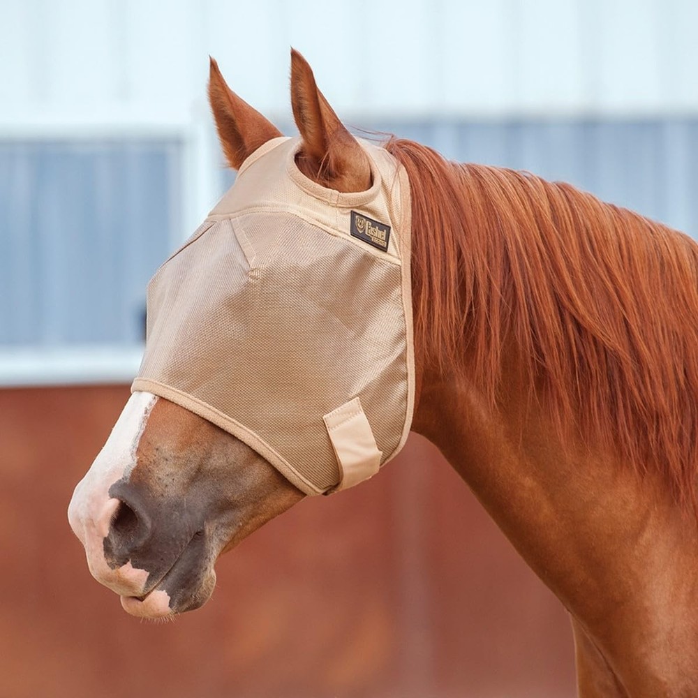 Econo Standard Fly Mask