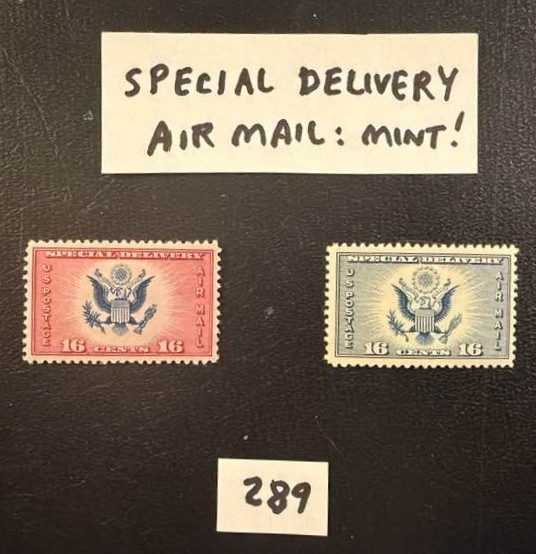 Air Mail Special Delivery Stamps. US Scott # CE1 CE2.  1934 16c.  Mint (Lot 289)