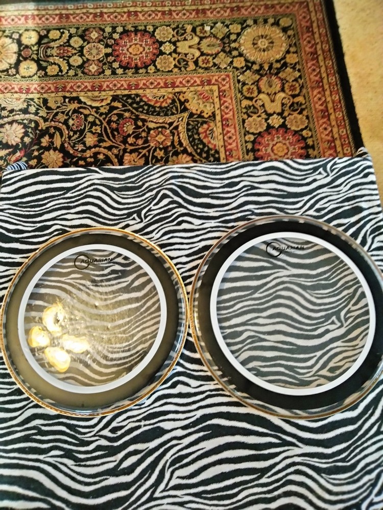 Aquarian Studio X Tom Head 13" 14"