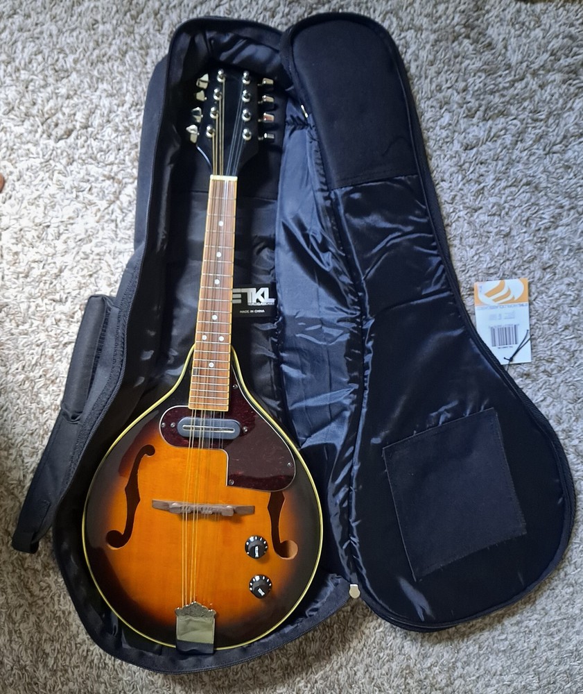 NEW ELECTRIC MANDOLINE S101 MFR44EVS STRING INSTRUMENT