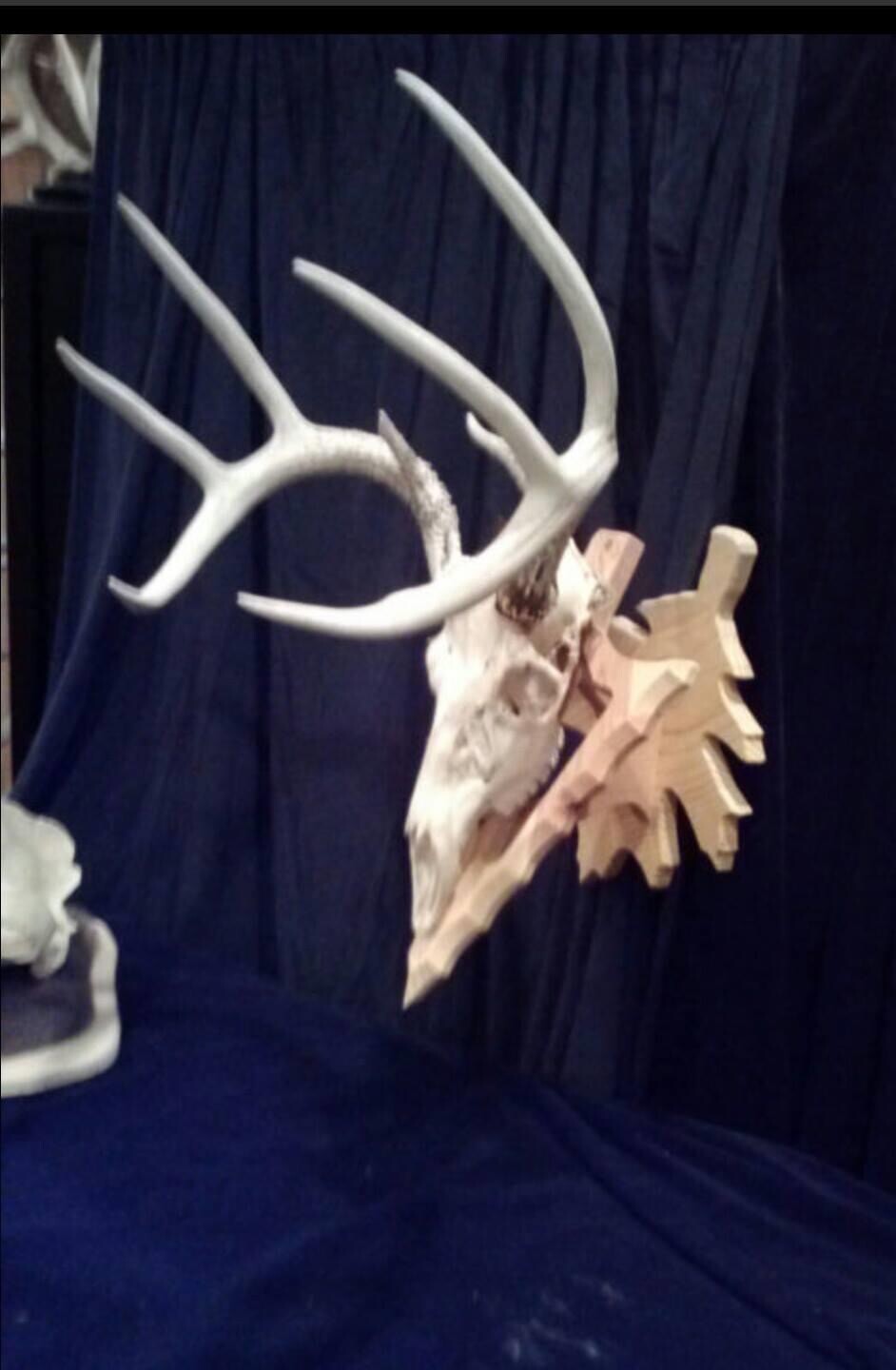 solid wood taxidermy European skull mount deer plaque deer head trophy hanger