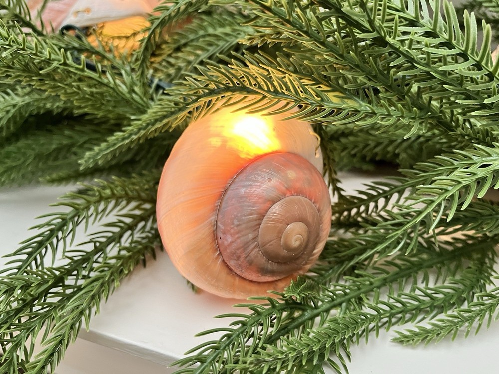 outdoor Sea Shell string lights for patio