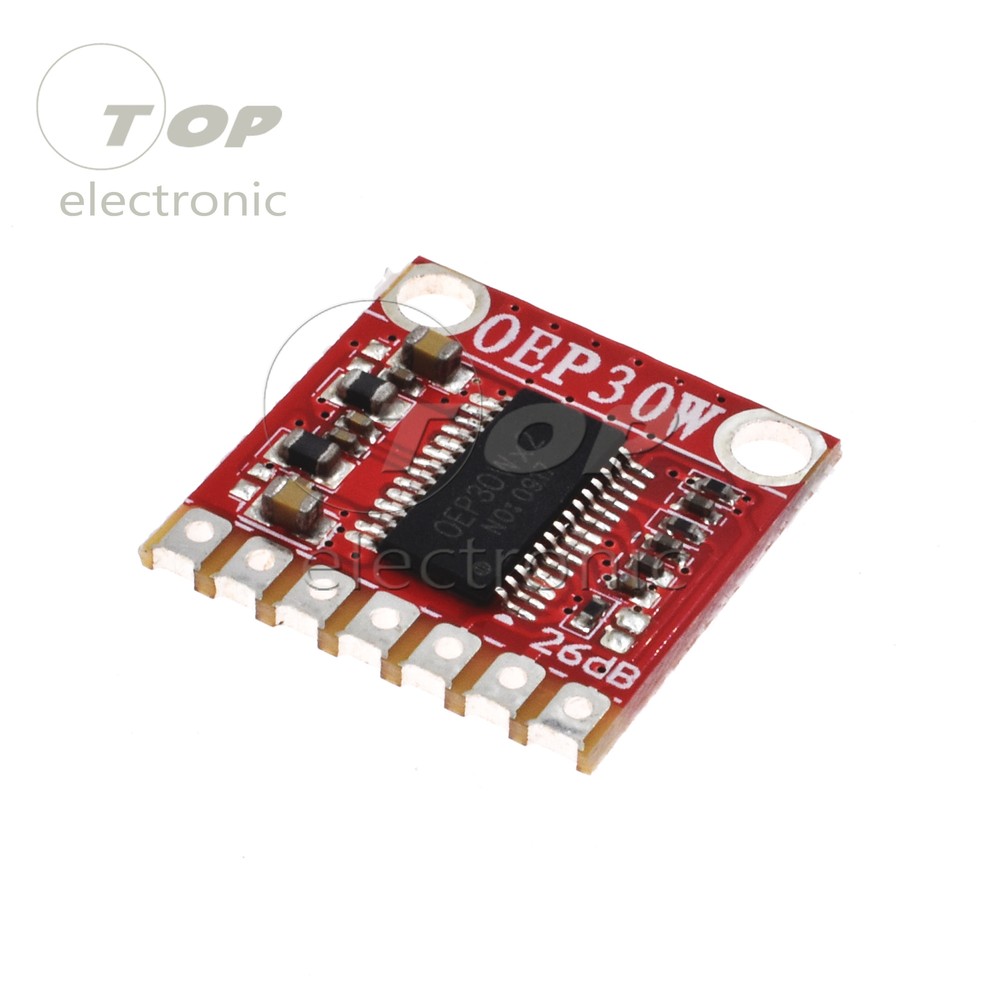 2PCS OEP30W Mono Digital Amplifier Module Amplifier Board DC 8-24V D Class