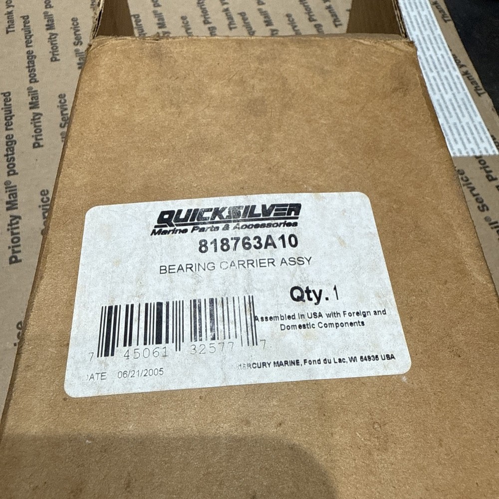 Quicksilver 818763A10