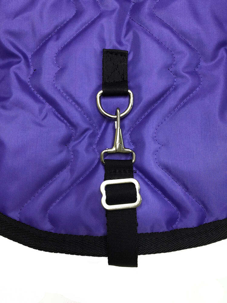 English Padded Saddle and Bridle Carrier Set