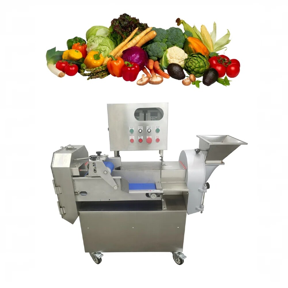 110V Two Head Variable Frequency Fruit & Vegetable Cutter Slicer/Shreder/Dicer