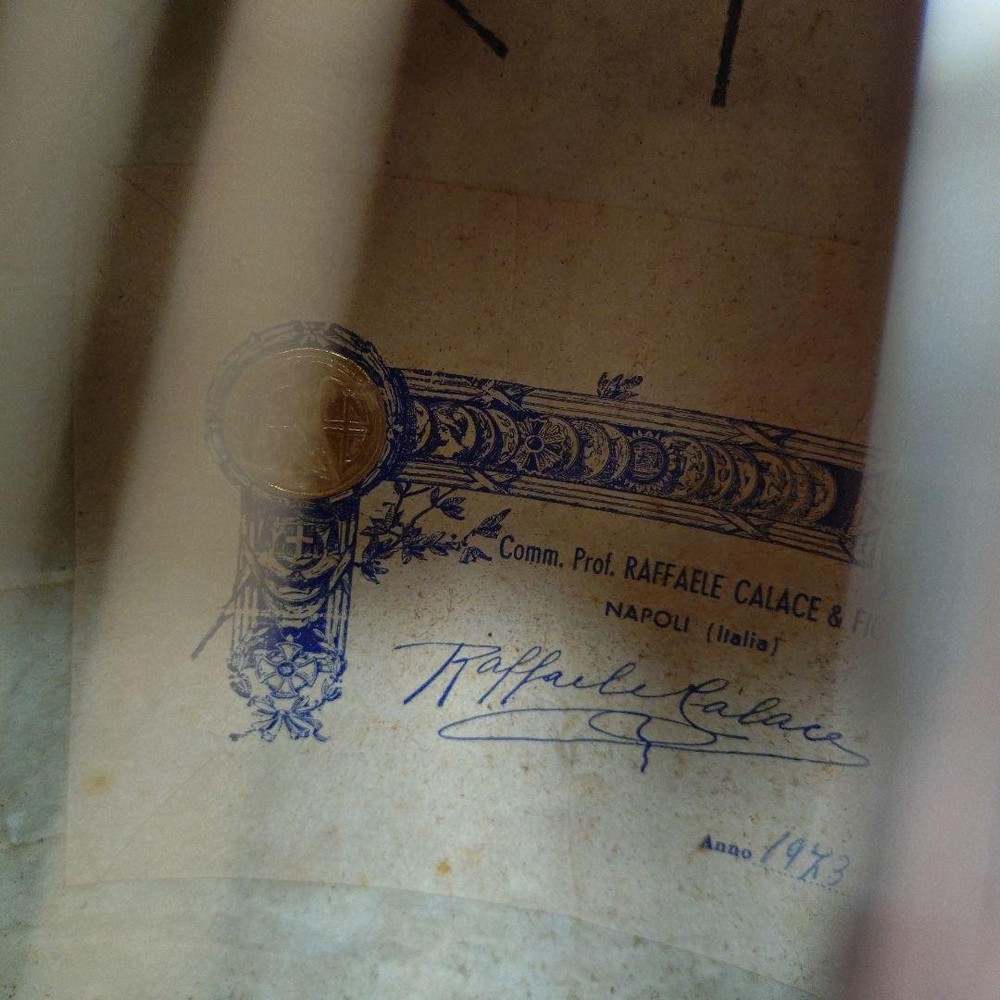 Colored Chemandolin 8 strings