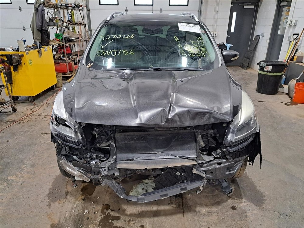 2016 Escape Camera/Projector Sku#4265885