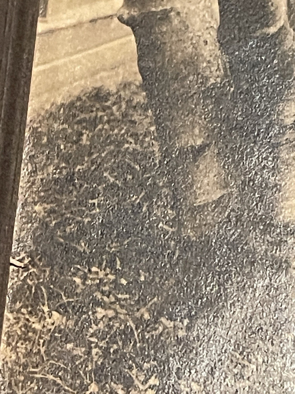 WW1 Photograph Young Military Soldier In Uniform With Medal & Hat - Sepia Color