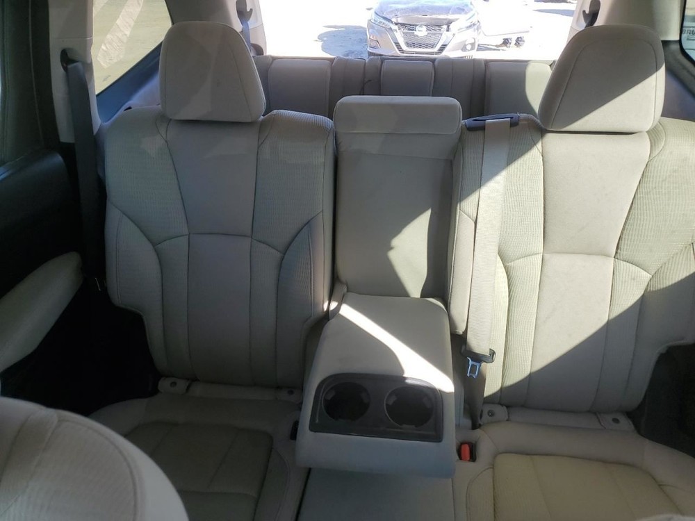 ASCENT 2019 Jack 368494