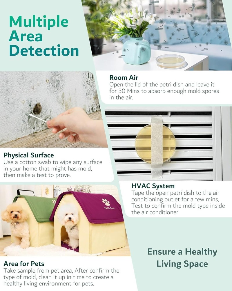 Complete Home Mold Kit with 8 Tests, Guide & Lab Support - Safe & Easy