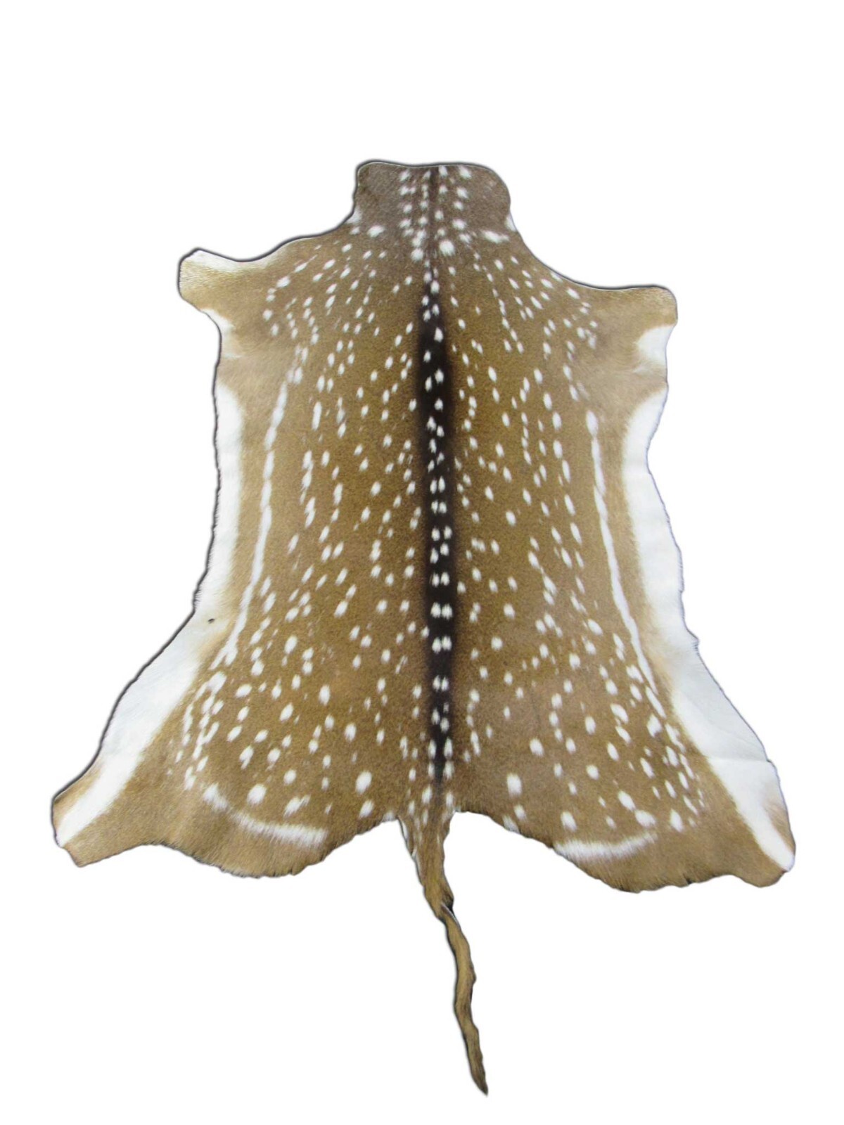 Axis Deer Skin Hide Average Size: 37" X 30" Top Grade Axis Deer Hide Top Grade