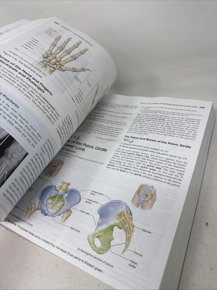 Human Anatomy & Physiology - Bound LooseLeaf- Third Ed. Pearson