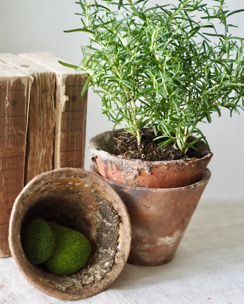 Antique French Terracotta Resin Sap Pots, Cottage Garden Home Decor