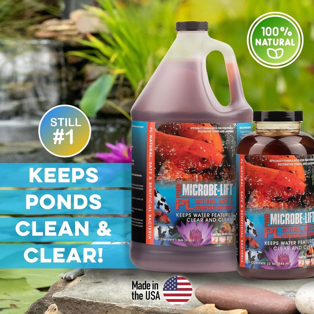 Effective Pond Maintenance Solution