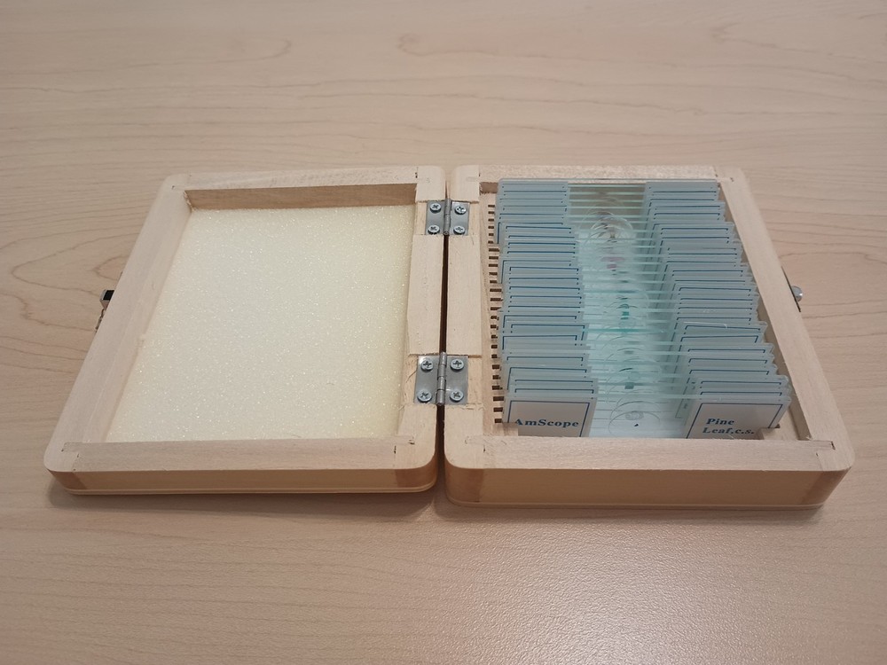 Amscope 25 Prepared Slides, Microbiology Learning
