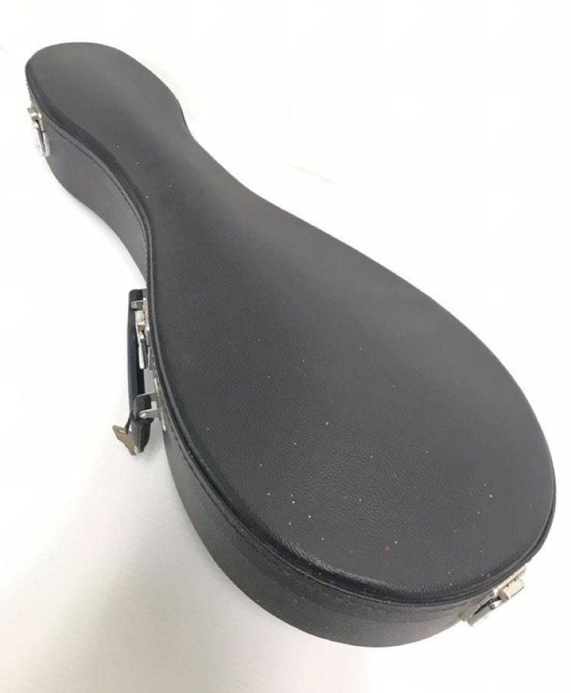 SUZUKI Violin /M-30 Mandolin