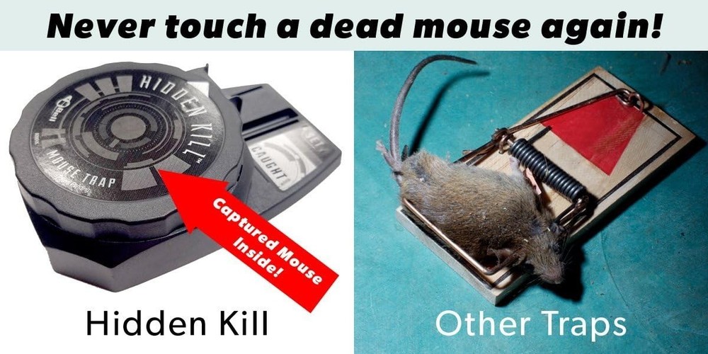 Hidden Kill Mouse Trap 4-Pack