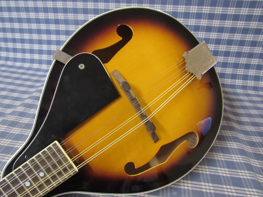 Rogue Fine Instruments RM-100A Mandolin. (Please Read Carefully) FREE SHIPPING.