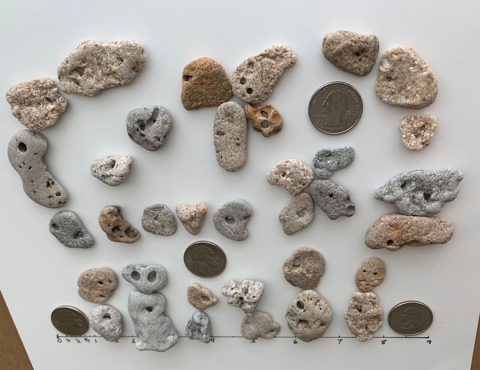 35 Adder Holey Beach Rocks Hag Stones Fairy Lucky Wish Magic Natural 1" #B1 US❤️