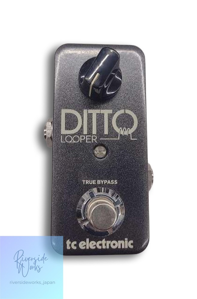 TC ELECTRONIC Ditto Looper Effect Pedal Accessory