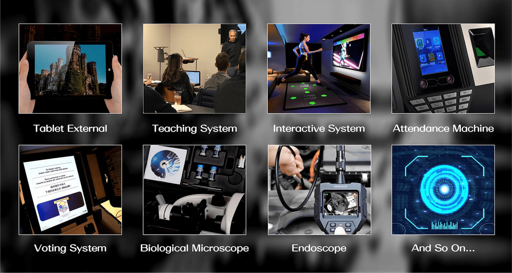 11MP Autofocus USB Endoscope Borescope Camera Module with 4LEDs for Android PC