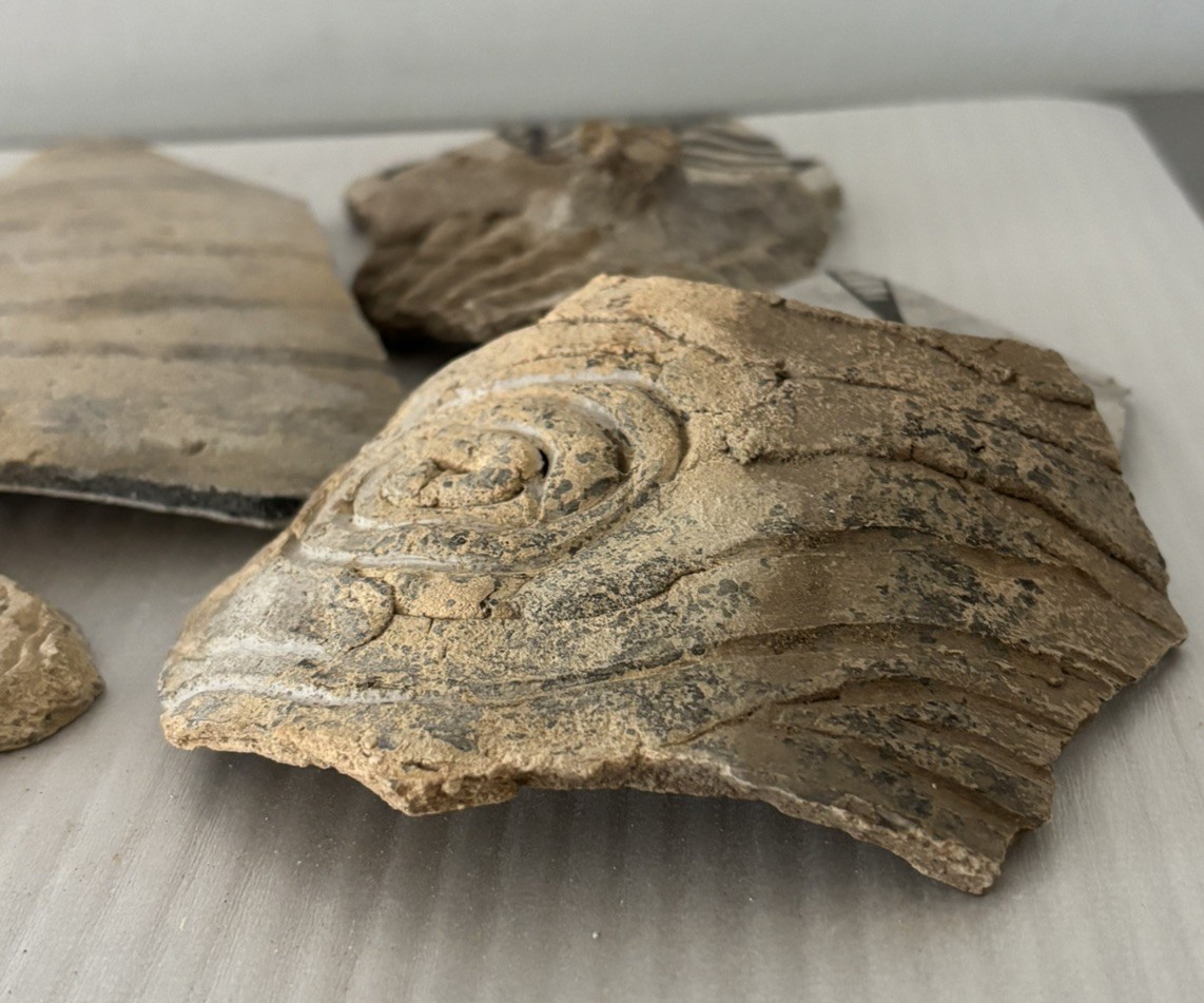 Lot of 7 Large Ancient Anasazi Native American Pottery Shards Arizona L5-D