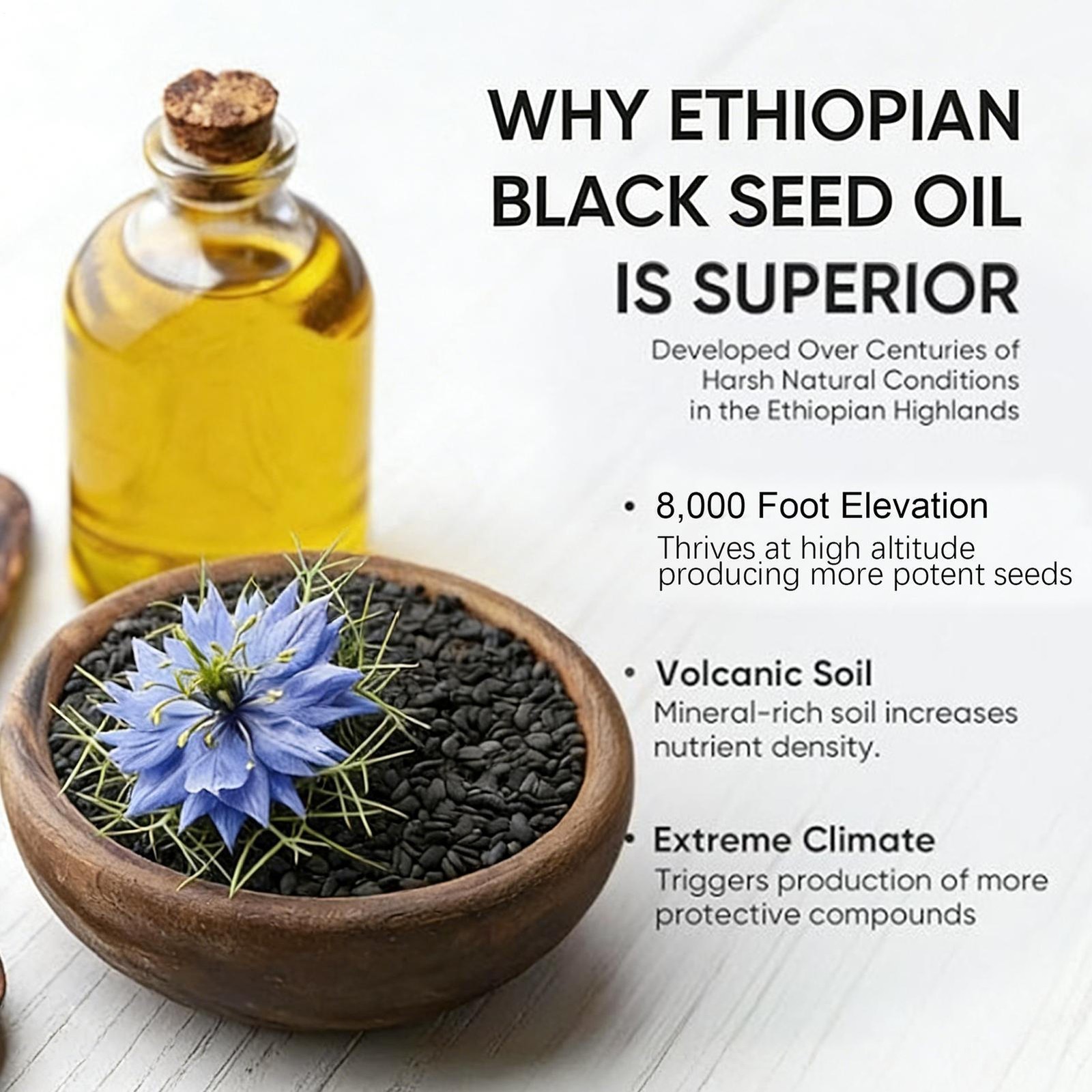 Ethiopian Black Seed Oil Softgels |4.64% Thymoquinone |Gluten-Free, 60 Capsules