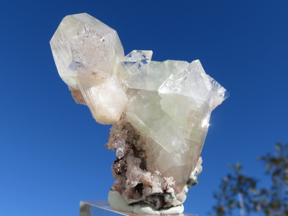 Apophyllite Crystals On Matrix India