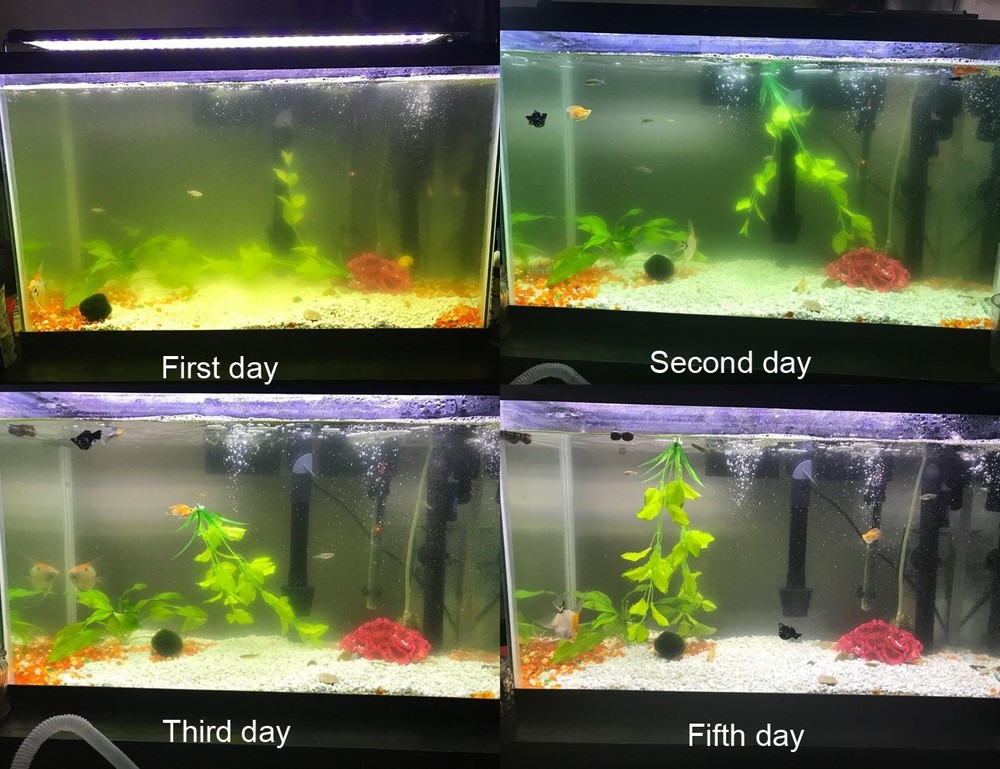 UV Aquarium Filter Pump for Effective Green Water Elimination