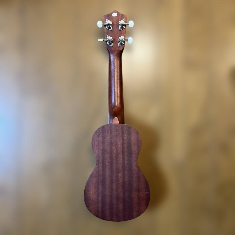 ARIA soprano ukulele with case