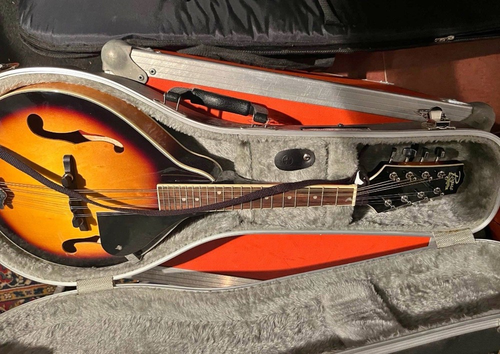 Acoustic mandolin with hard case