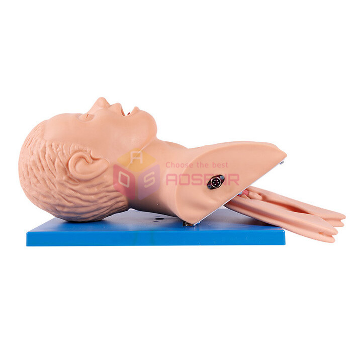 Electronic Tracheal Intubation Simulator Intubation Manikin Study Teaching Model