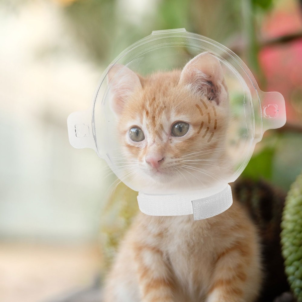 Adjustable Protective Hood Cat Head Covering Bite Resistant Muzzle