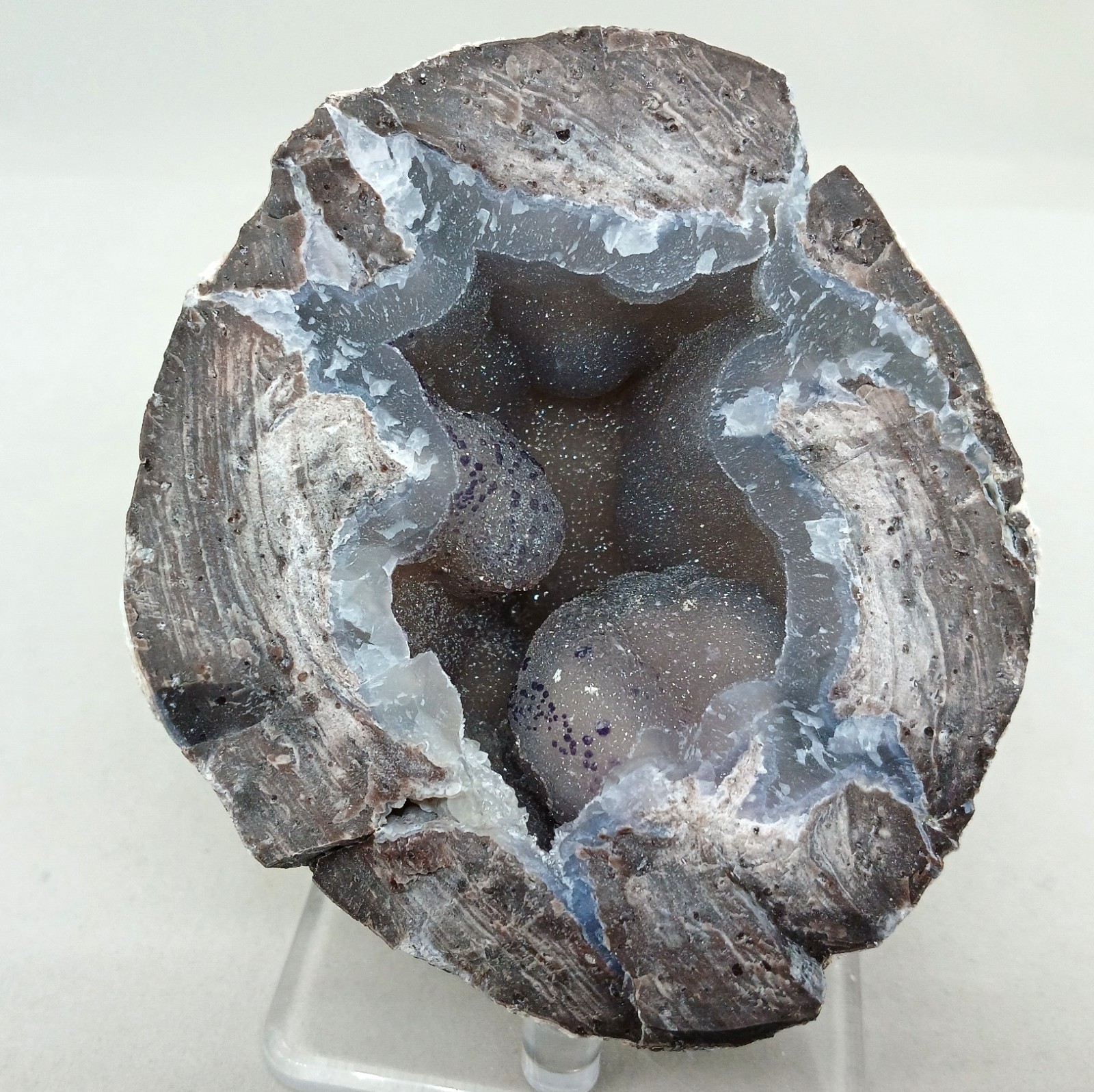 Whole Guaranteed Hollow Utah Dugway Quartz Agate Geode Thundereggs, Fluorescent!