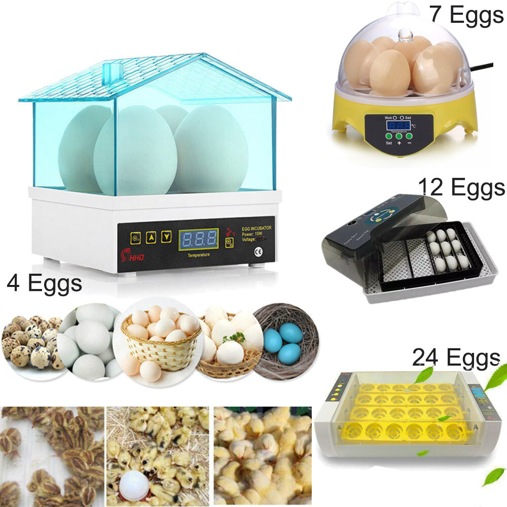 4-24 Eggs Incubator Automatic Chicken Quail Hatcher Incubators for Hatching Eggs