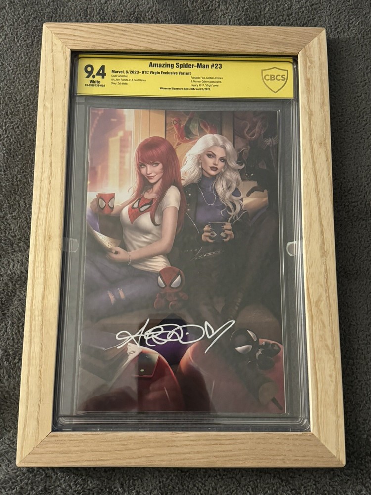 Graded Comic Book Display Frame CGC CBCS Slabs Wall Hanging Custom Made 