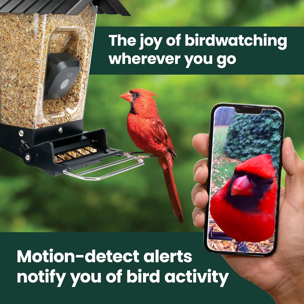 Solar Powered Smart Bird Feeder with Camera - Squirrel-Resistant, 3.2L Capacity,