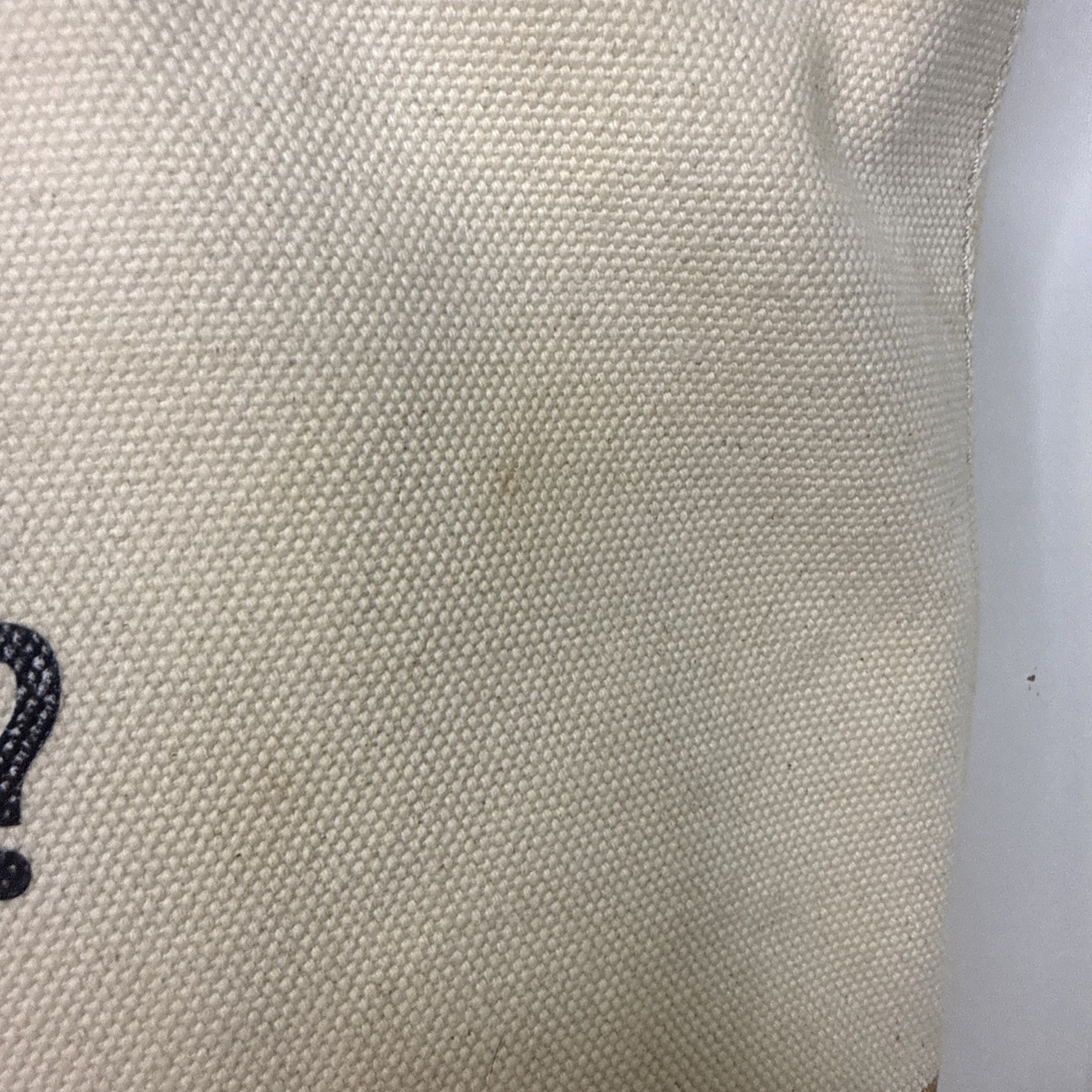 “Who Says We Have to Grow Up?'' Kate Spade Canvas Glitter Tote Disney