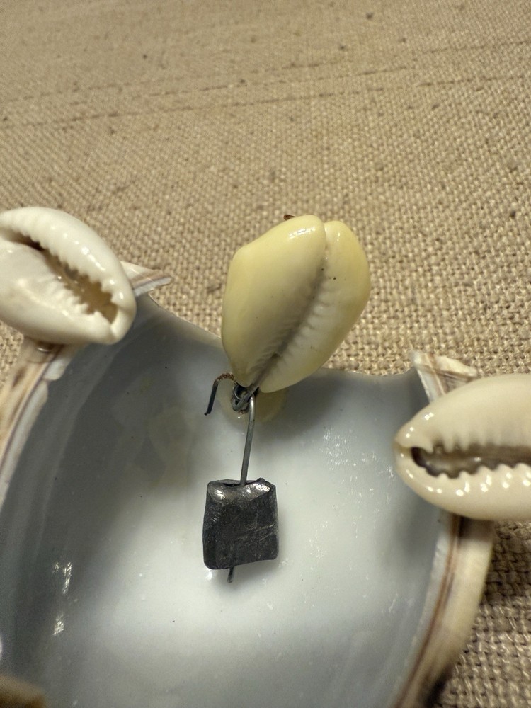 Hand Made Bobble Head Cowrie Shell Turtle With Glasses