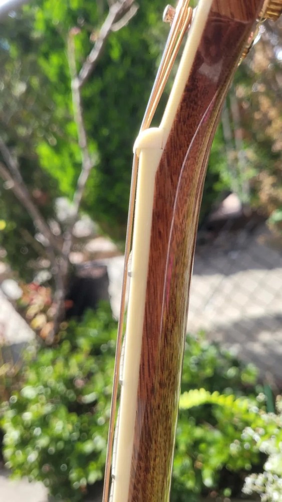 Fender Paramount PM-1 Standard Dreadnought Acoustic-Electric with Case (2016)