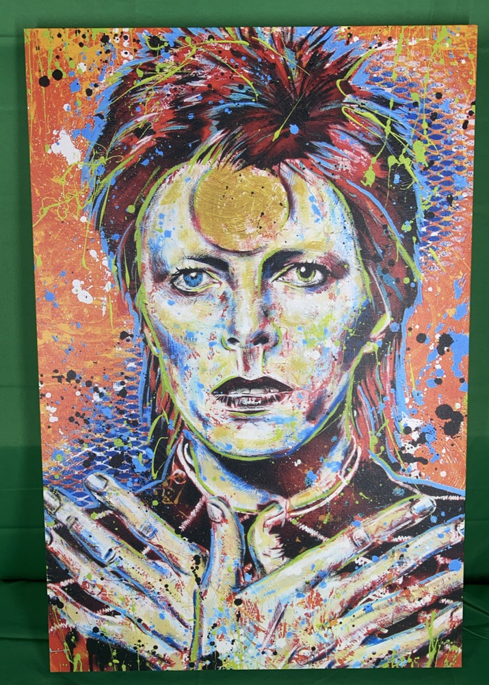 David Bowie Ziggy Stardust 20x30 Colorful Canvas Print