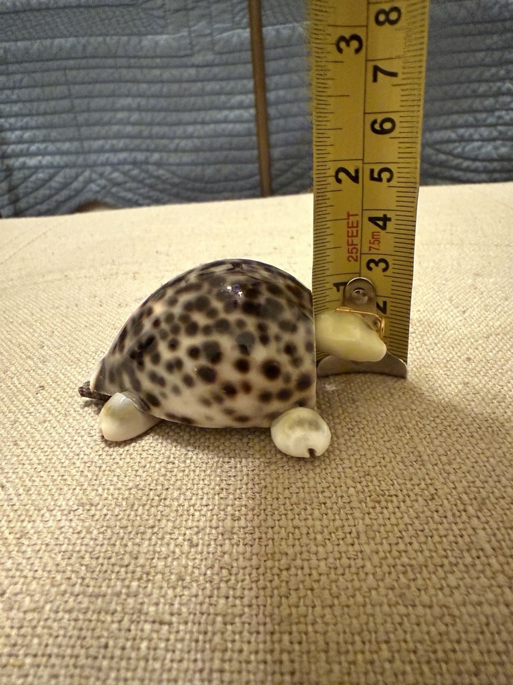 Hand Made Bobble Head Cowrie Shell Turtle With Glasses