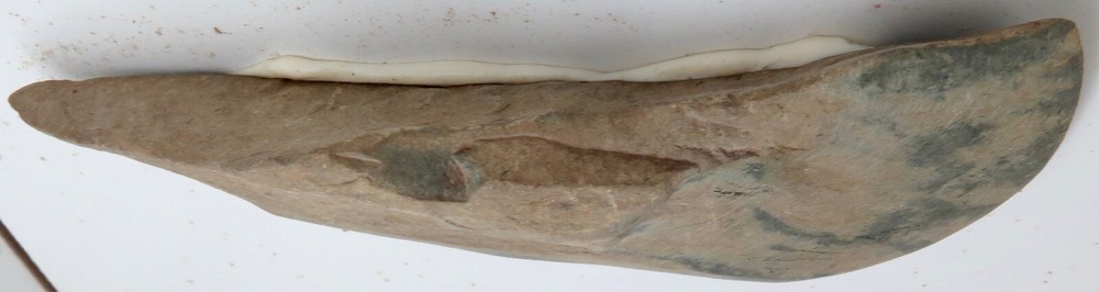 "Prehistoric Cutting Stones” Large Display Board.