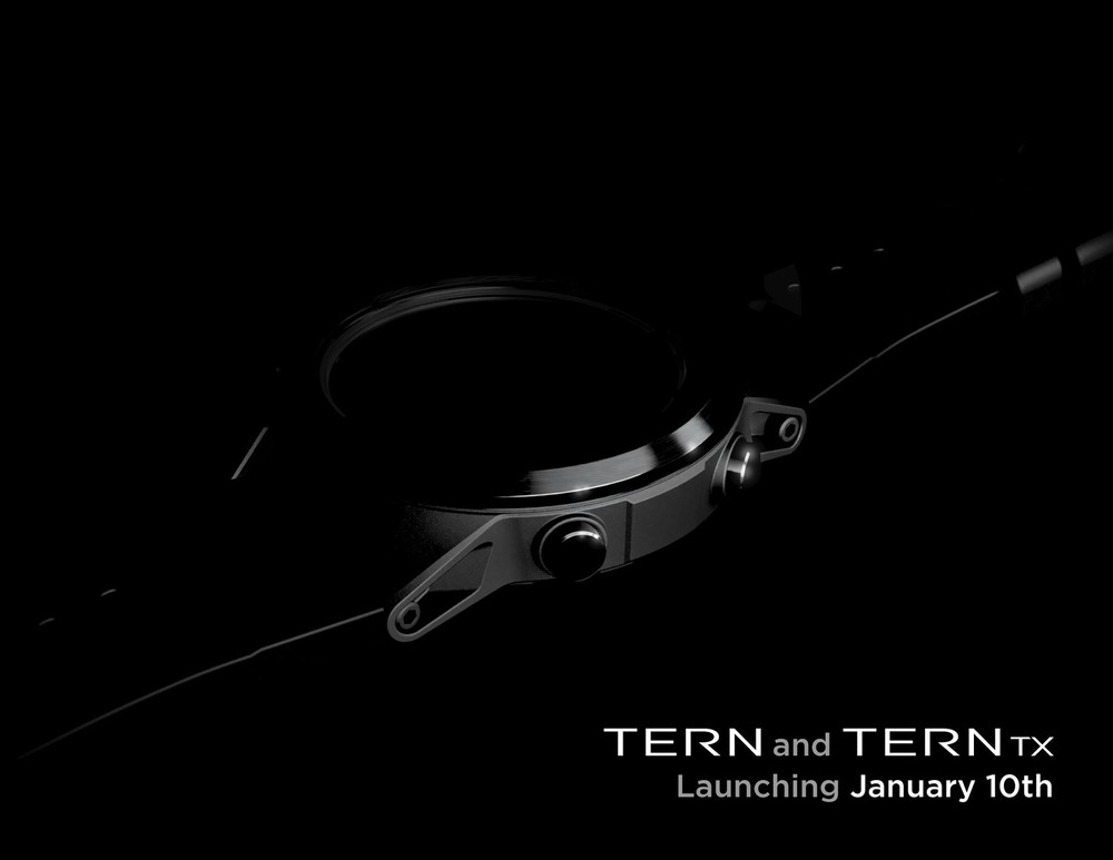 Shearwater - Tern and Tern TX