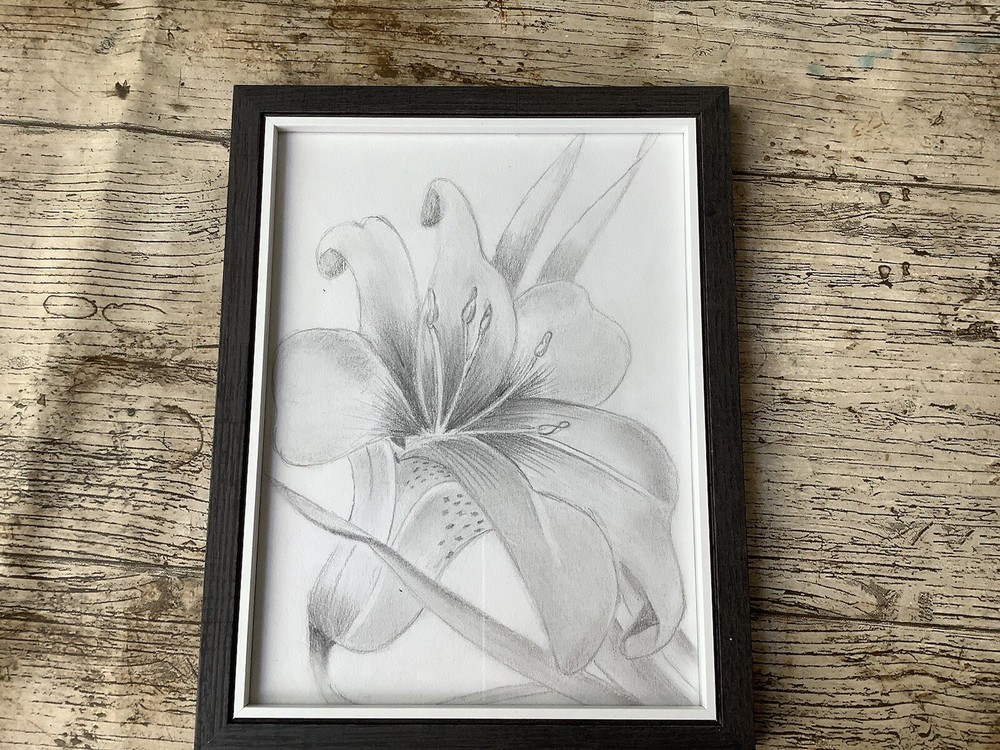 Lilly Drawing Picture