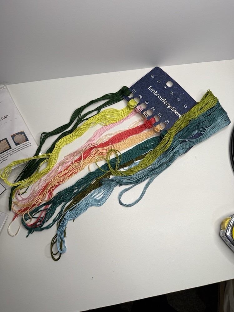 Complete cactus needlepoint Kit Does Not Include Embroidery Hoop Craft Project.
