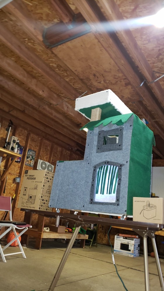 The Ultimate Indoor Cat House with Everything Your Cat Needs!