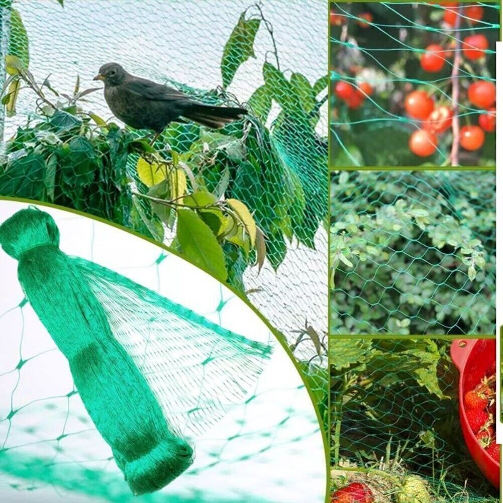 USA 33FT Anti Bird Netting Pond Net Protection Tree Crops Plants Garden Mesh